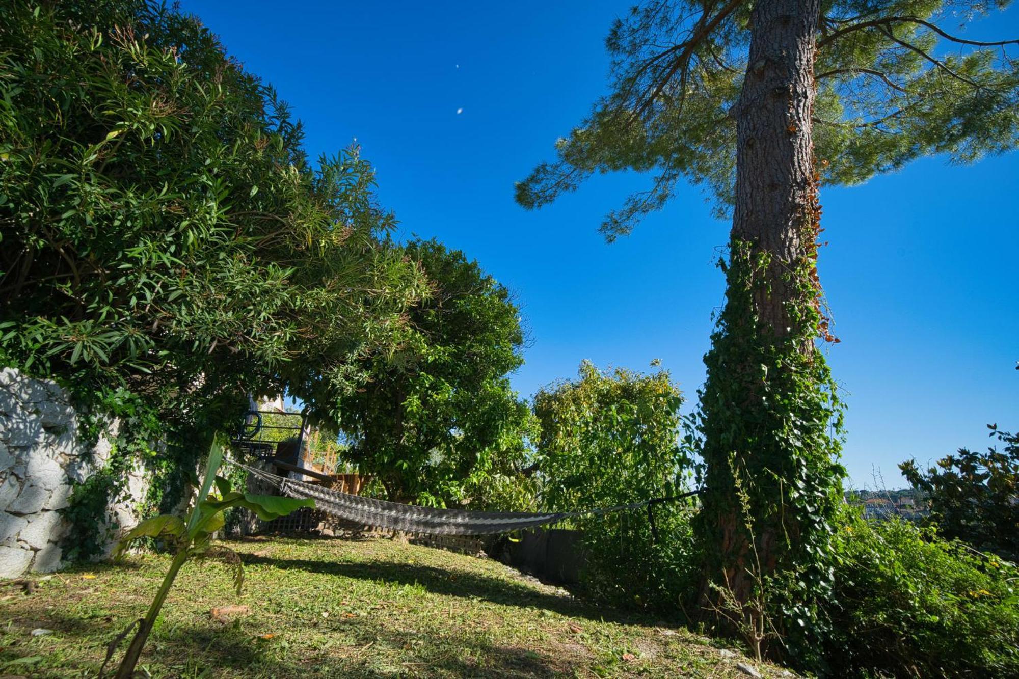 06Q - Biot Beautiful Provencal Villa With Swimming Pool エクステリア 写真
